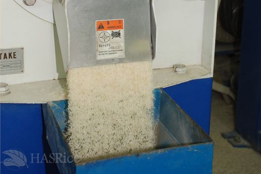 Polished Rice