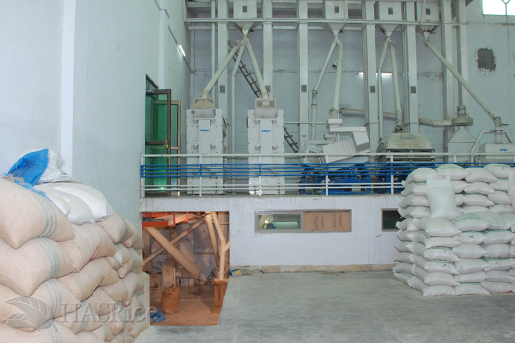 Processing Area (Graders)